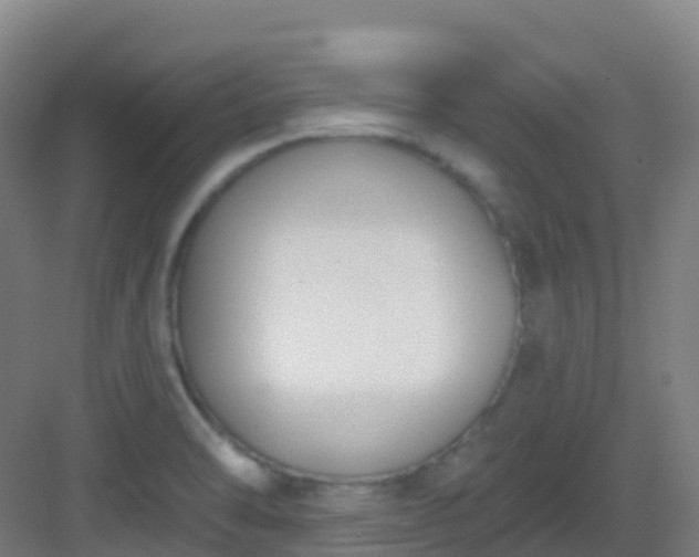 X0000082931470200702081528