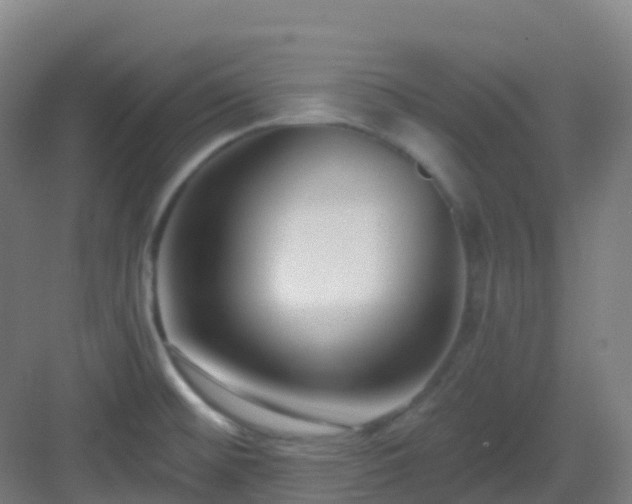 X0000082931476200702081527