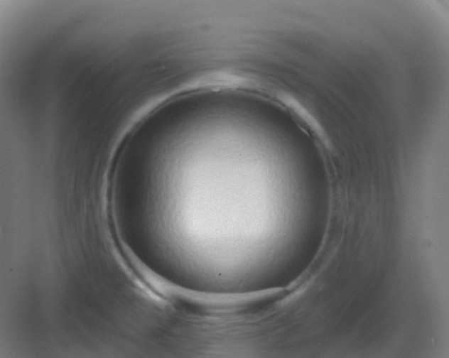 X0000082931477200702081527