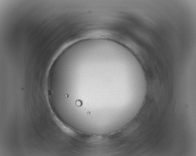 X0000082931478200702081527