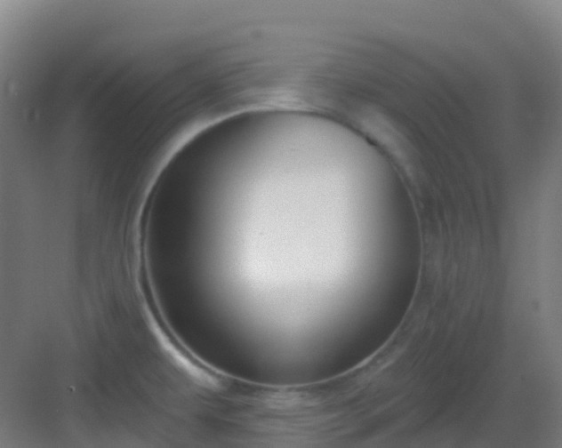 X0000082931479200702081527