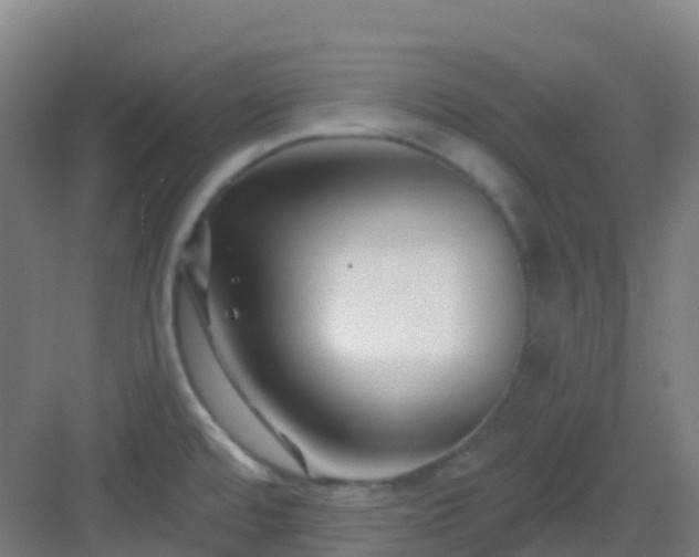 X0000082931480200702081527