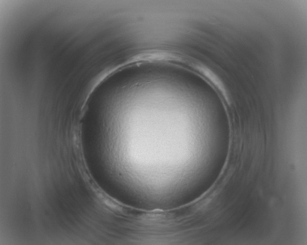 X0000082931481200702081527