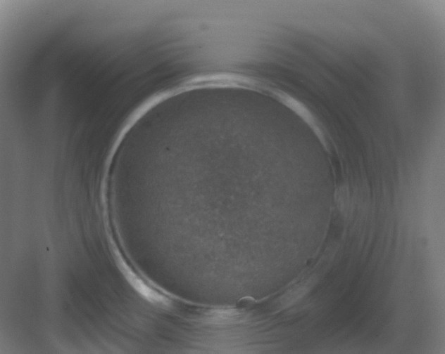 X0000082931482200702081527