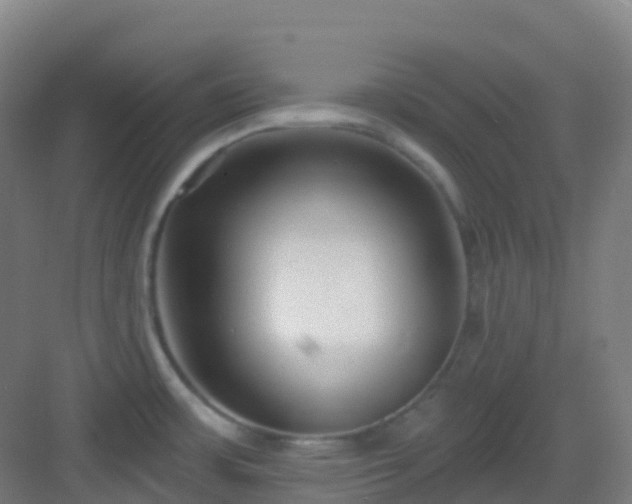 X0000082931483200702081527