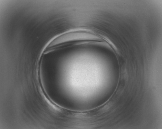 X0000082931484200702081527