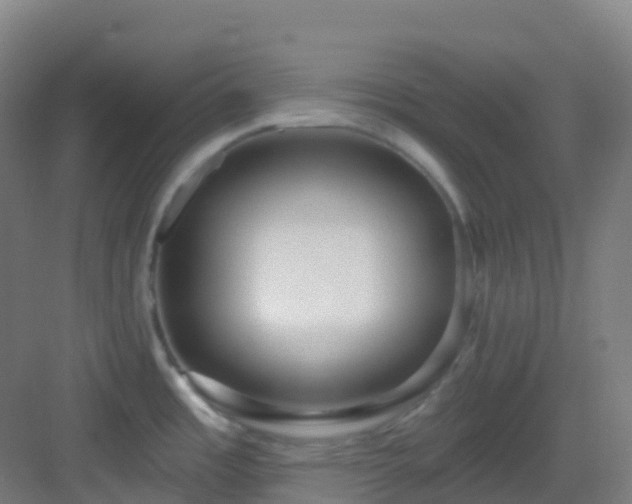 X0000082931485200702081527