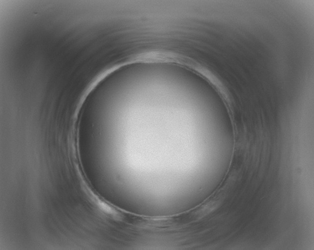 X0000082931486200702081527