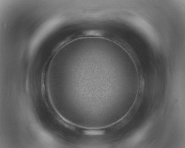 X0000082931487200702081527