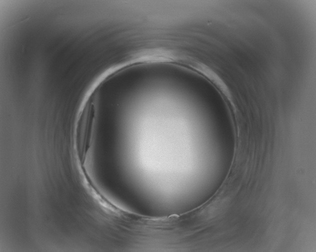 X0000082931488200702081527