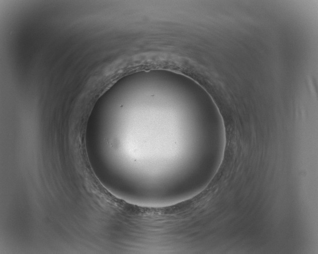 X0000082931489200702081526