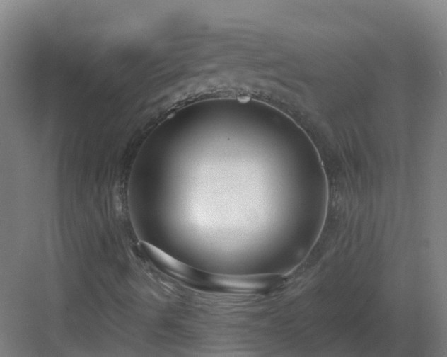 X0000082931490200702081527