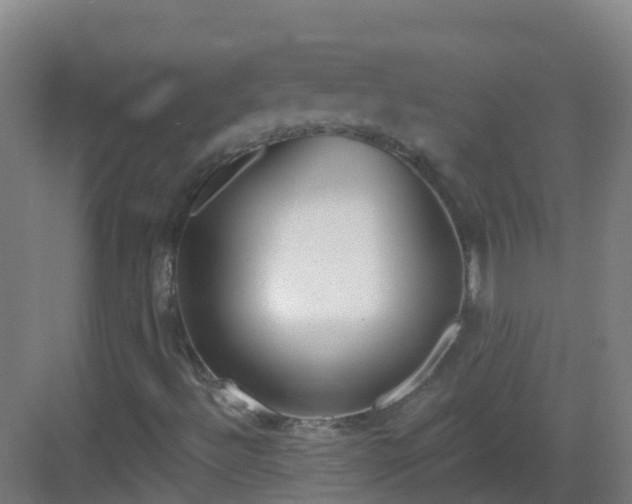 X0000082931492200702081527