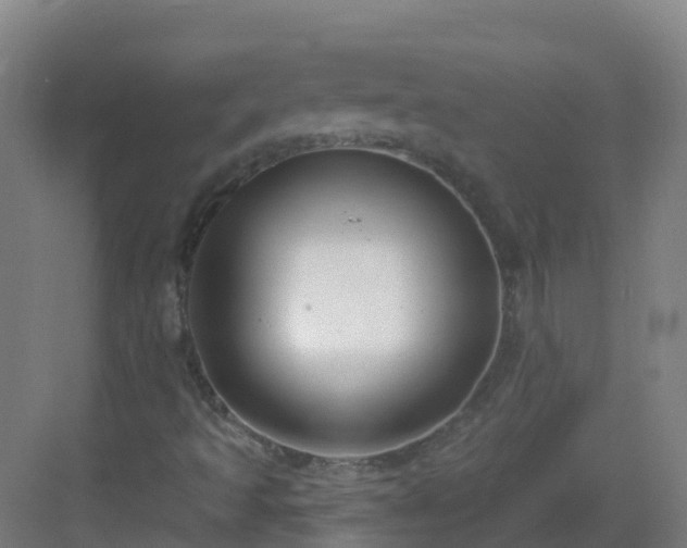 X0000082931493200702081527