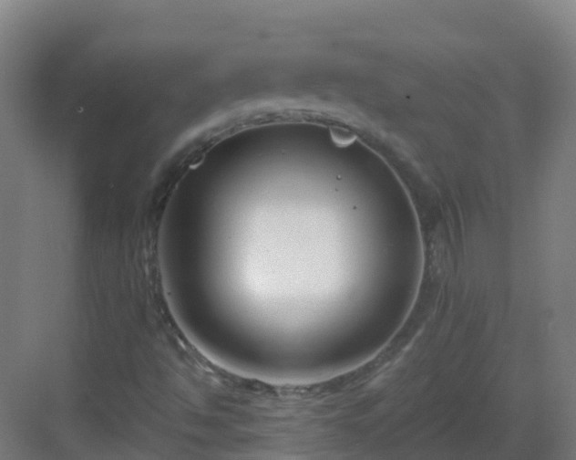 X0000082931494200702081527