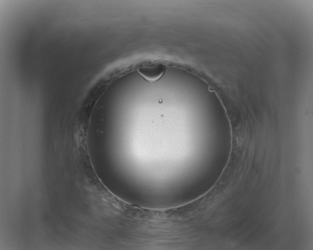 X0000082931495200702081527