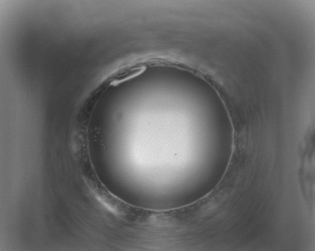 X0000082931496200702081527