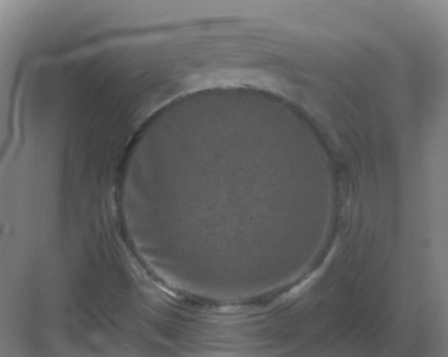 X0000082931497200702081527