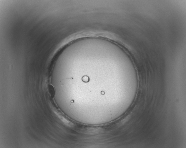 X0000082931498200702081527