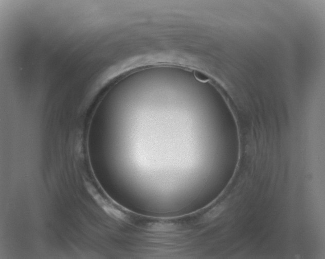 X0000082931499200702081527