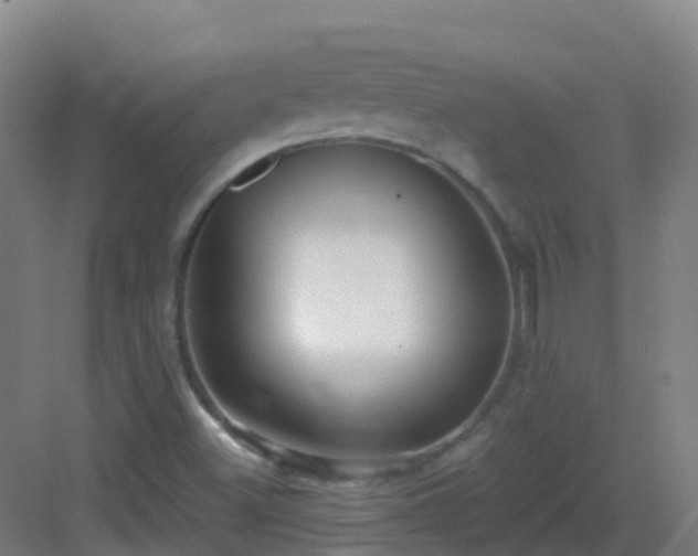 X0000082931500200702081527