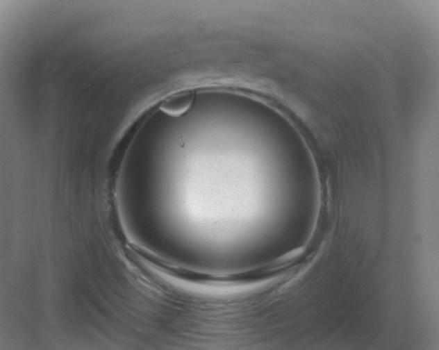 X0000082931501200702081527