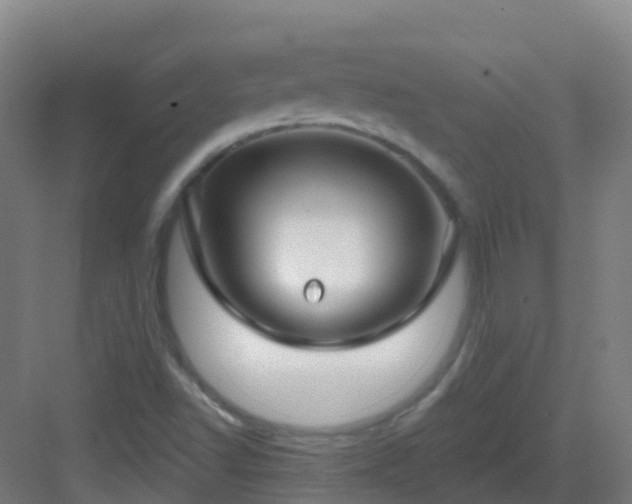 X0000082931502200702081527