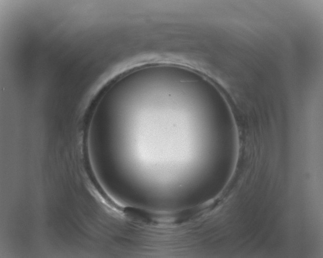 X0000082931503200702081527