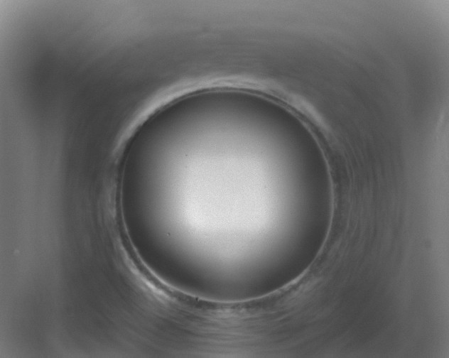 X0000082931504200702081527