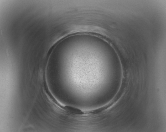 X0000082931505200702081527