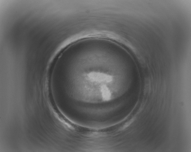 X0000082931506200702081527