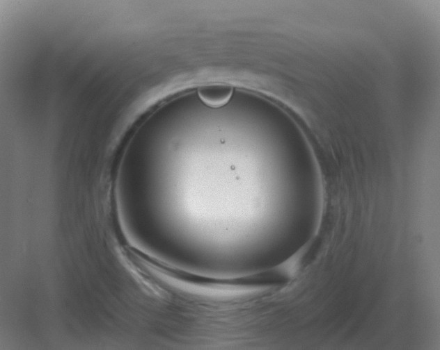 X0000082931507200702081527