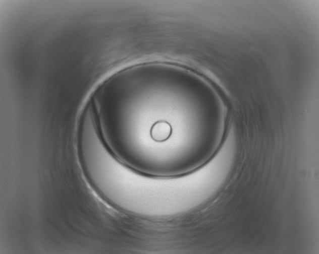 X0000082931508200702081527