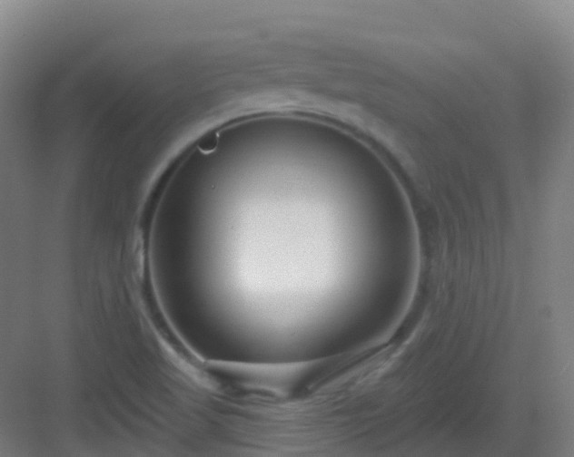 X0000082931509200702081527