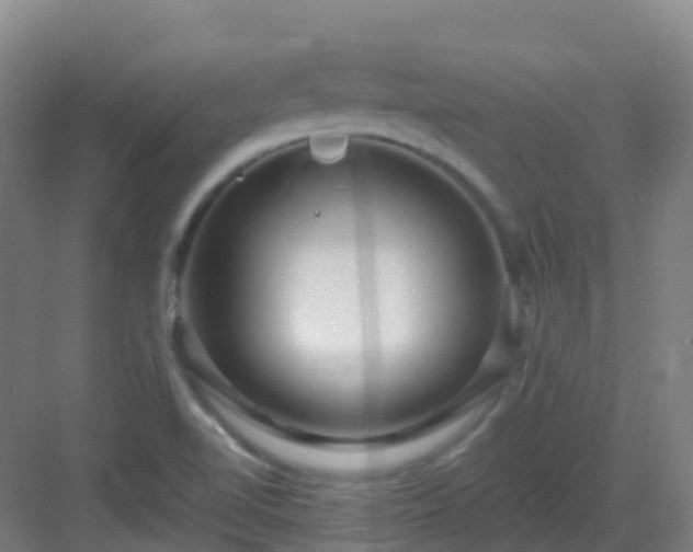 X0000082931510200702081527