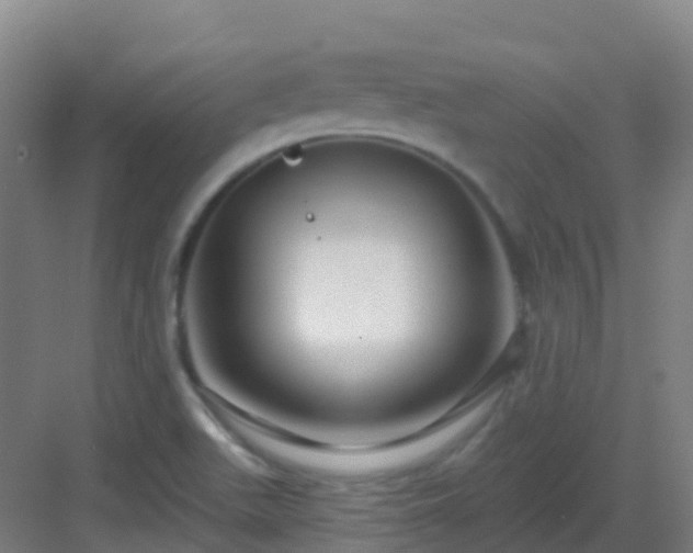 X0000082931511200702081527