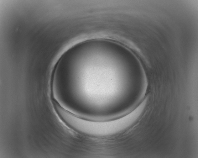 X0000082931512200702081527