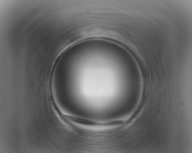 X0000082931513200702081527