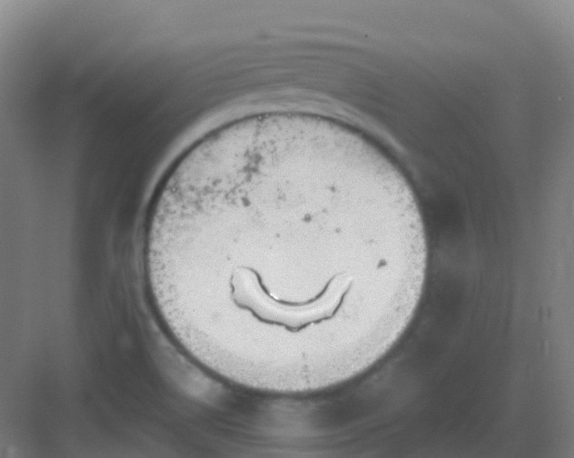 X0000082931514200702081527