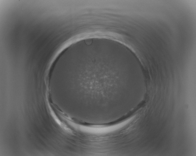 X0000082931515200702081527