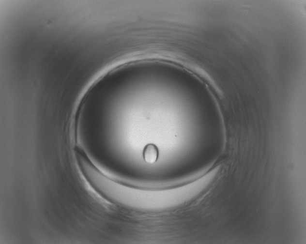 X0000082931516200702081527