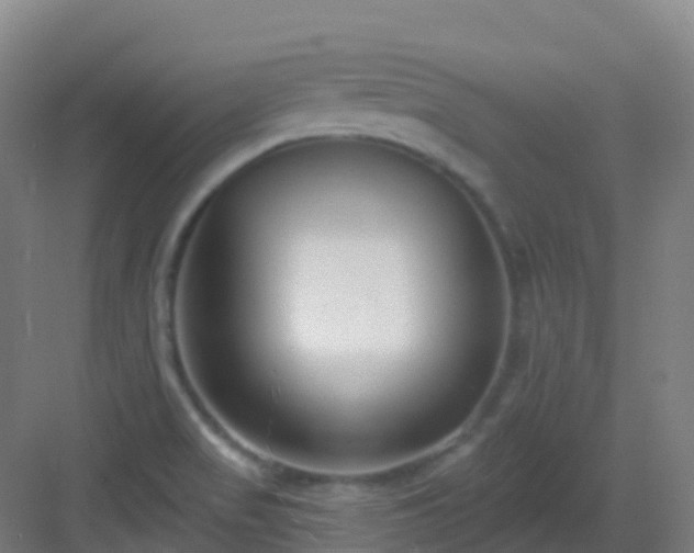 X0000082931517200702081527