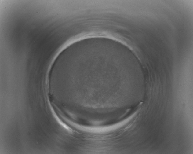 X0000082931519200702081527