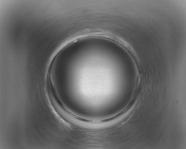 X0000082931520200702081527