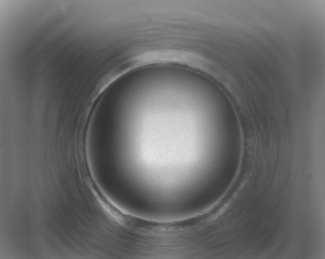 X0000082931521200702081527