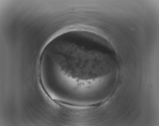 X0000082931522200702081527