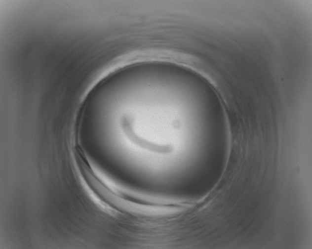 X0000082931523200702081527