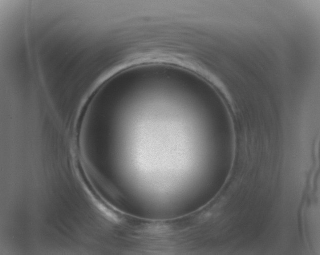 X0000082931525200702081527