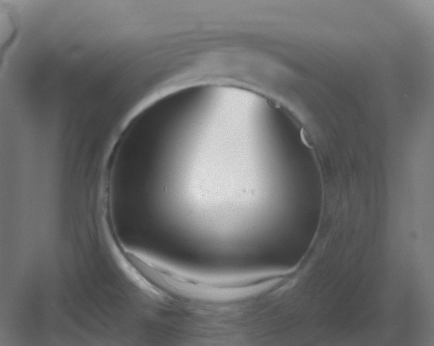 X0000082931526200702081527