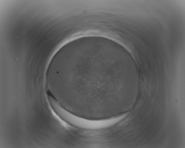 X0000082931527200702081527